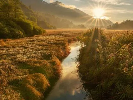 Living With Uncertainty: A Gentle Reflection