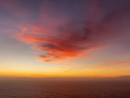 Living Your 1 Wild And Precious Life, Mindful Breath & Body