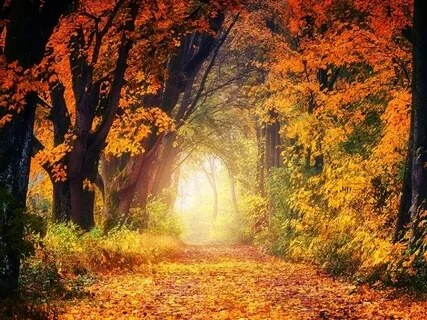 Living Your Purpose Meditation