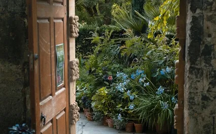 לחזור הביתה