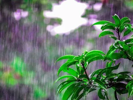 Lluvia: Para Despejar, Limpiar y Soltar