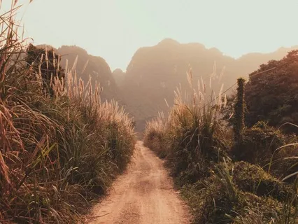 Lock-down Yoga Nidra