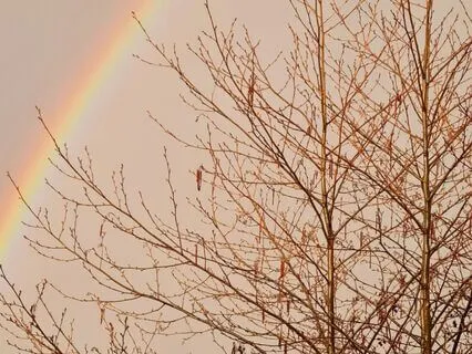 LoFi 432 Hz For Sleep, Study & Relax – Soft Rainfall Echo