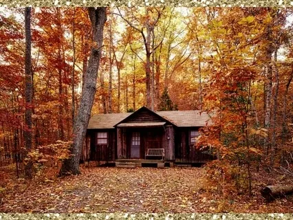 Log Cabin Meditation for Weight Loss