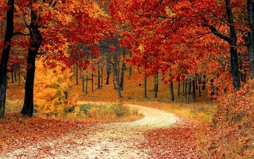 Logotherapy Part 1: A Brief Introduction And Toolkit