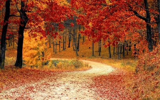 Logotherapy Part 2: Self-Affirmation And Higher Purpose