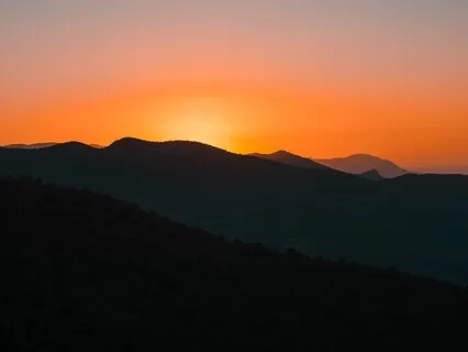 Lokah Samastah By Allison Zopel