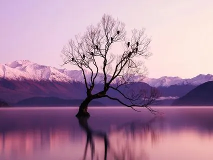 Lokah Samastah Mantra For World Peace