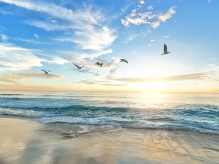 Lokah Samastah Sukinoh Bhavantu Kirtan (Vicarious Joy) Chant