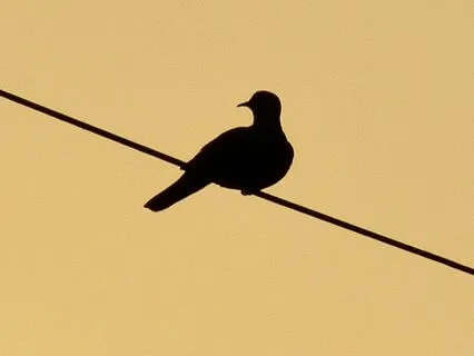 Loneliness Is Not A Punishment