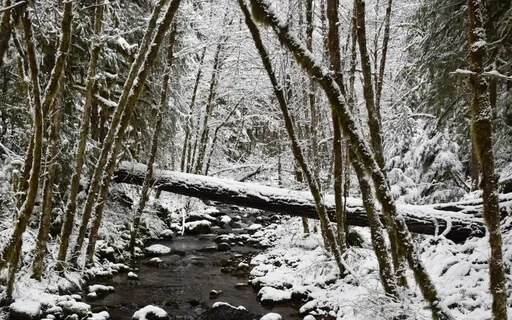 Loneliness - Responding With Prayer