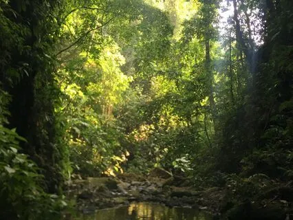 Loneliness To Connection