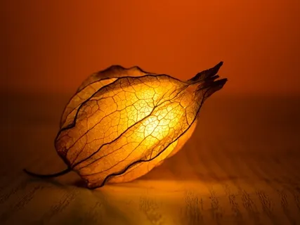 Long & Warm Bass Tones