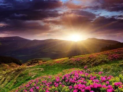 Deepest Healing Sleep Music: 9 Hours Of Delta Brain Waves