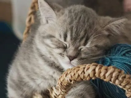 Long Body Scan For Healing