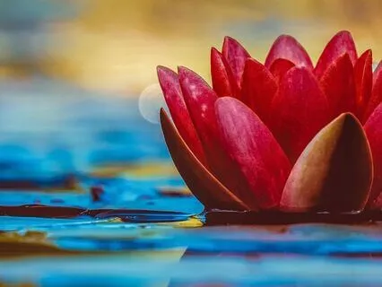 Long Body Scan Savasana