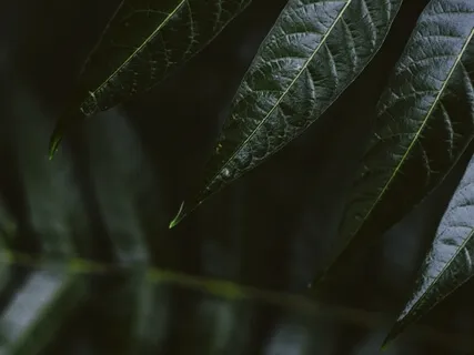 Long Calming Om Mani Padme Hum With Cello, Ocean & Wind Chimes