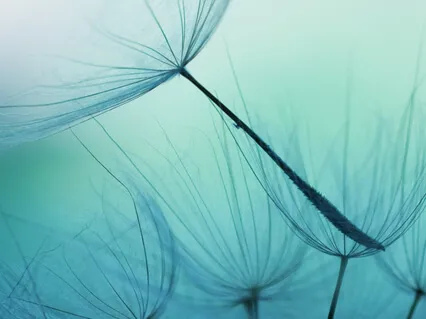 Long Deep Breathing For Anxiety