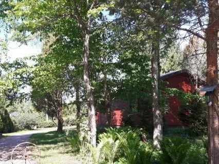 Long Double Body Scan