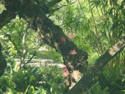 Long Meditation For Peace And Ease