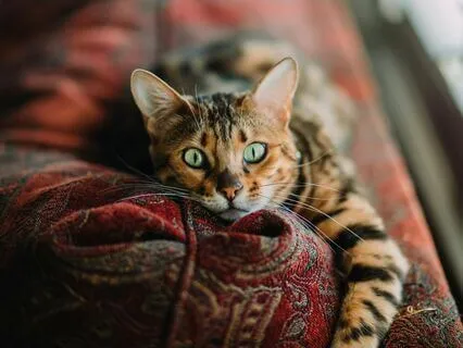 Long-Term Well-Being: How To Avoid Burnout