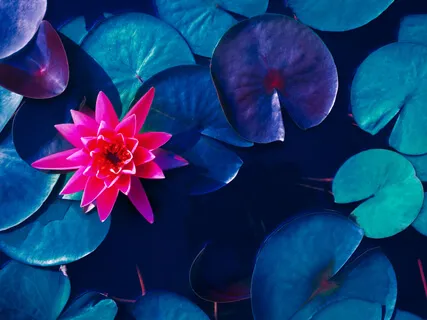 Long Visualization For Self-Transformation - Part A