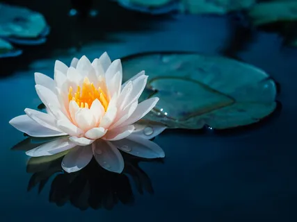 Long Visualization For Self-Transformation - Part B