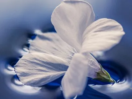 Longer Meditation To Reduce Anxiety