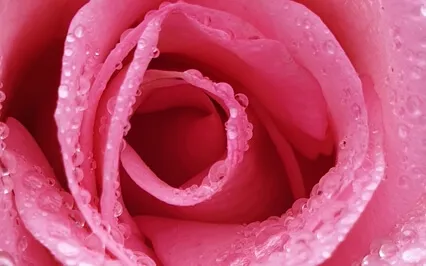 Longing For You - Longing For Me Delicate Piano