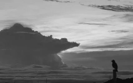 Longing Meditation (Taqsim In D Hijaz) 