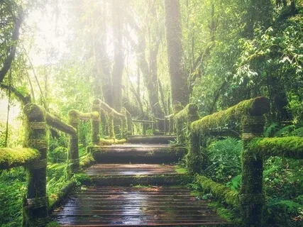 Look Within - Theta 6Hz Healing Music