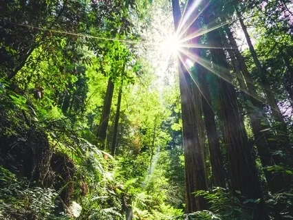 Looking At Life With Brave Eyes | Soultalk Meditation