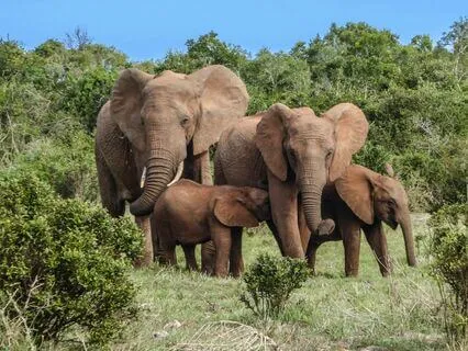 Looking At The World Through Different Filters