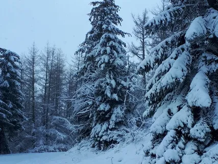 Looking At Your State Of Mind