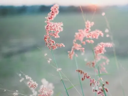 Looking Back At Your Roots (24th Of December)