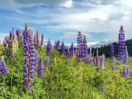 Looking Back To Embrace A New Beginning