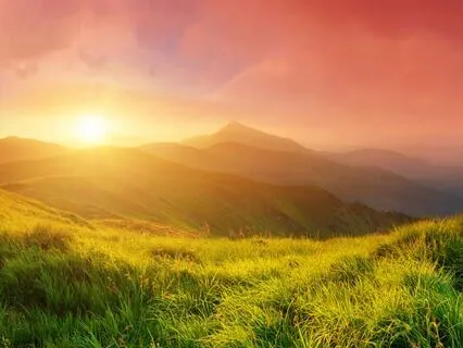 Looking For Solutions To Our Problems In The Wrong Place