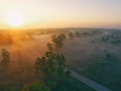 Looking For The Good