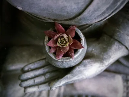 Looking For The One Who Is Aware