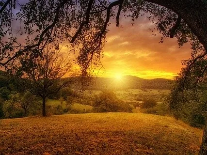 Looking From The Eyes Of The Heart