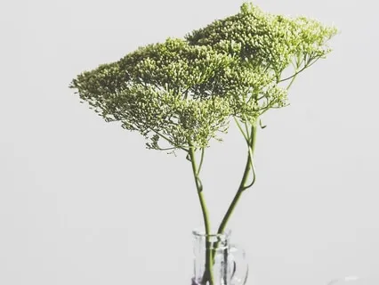 Looking In The Mirror