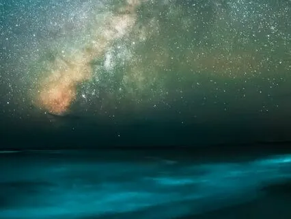 Looking Into The Creek | Rumi Poem