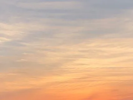 Looking: The Five Elements