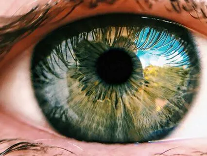 Looking With Loving Eyes