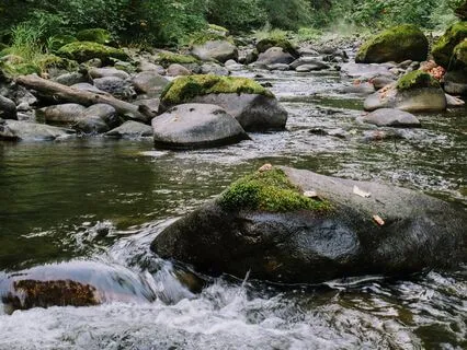 Loosening The Grip On Your Desire