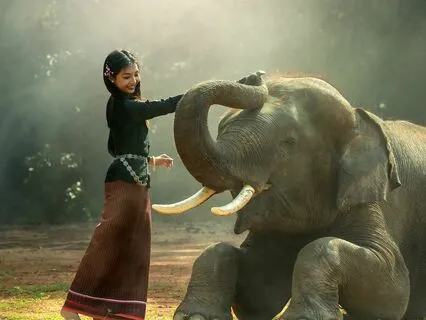 Lord Ganesha And The Mindful Elephant: A Bedtime Story
