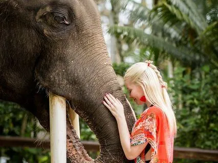 Lord Ganesha's Lessons: A Bedtime Story