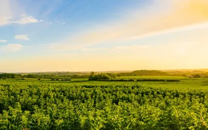 Lord's Prayer - Morning Christian Meditation