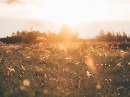 Lose Weight, Embrace Love