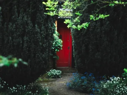 Lose Yourself | Rumi Poem